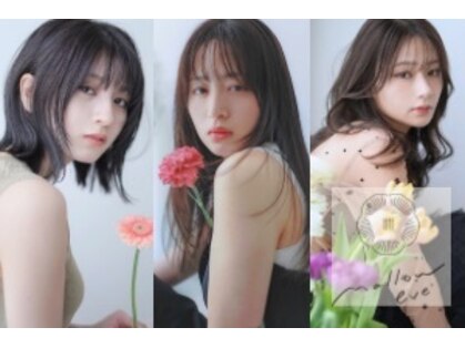 マロウイヴ(mallow eve)の写真