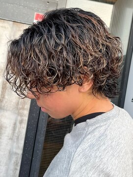 アノ(Ano.) サーフカール