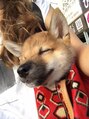 ステラ 新都心店(STELLA)&nbsp;愛犬まぐろです♪