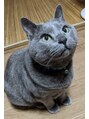 エレノア 自由が丘店(Eleanor) 実家でネコを飼っています！保護猫のレオです。