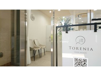 Torenia【トレニア】