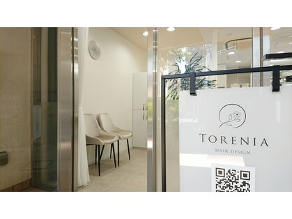 トレニア(Torenia)の写真