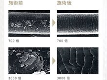 『髪質改善パールプラチナトリートメント』の秘密