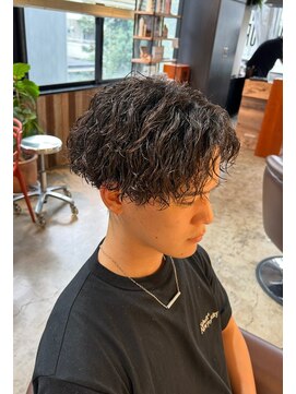 ビハインドザカーテン(BEHIND THE CURTAIN) 【初めての方にオススメ】ツイスパ50%