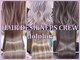 ヘアー デザイナーズ クルー ドルフィン(HAIR DESIGNERS CREW dolphin)の写真