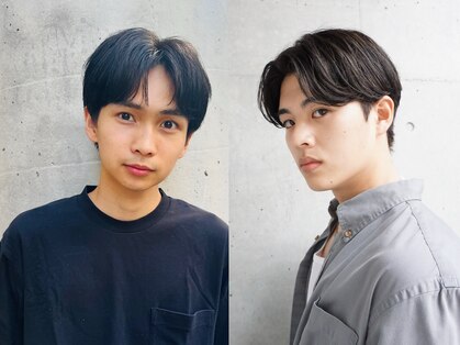 マイロ(mailo)の写真