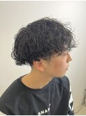 波巻きプードル