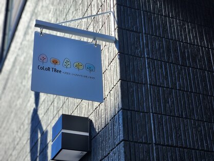 カラーツリー(CoLoR TRee)の写真