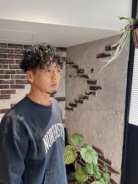 フリーダムアンドワークス 2nd(Freedom And Works) 【営業スタイル】ワイルドプードルパーマ