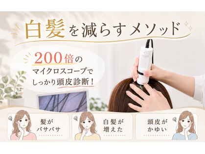 キラーナ(Kirana)の写真