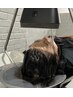 アロマヘッドスパ＋頭浸浴＋トリートメント　15,400円→13,200円
