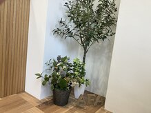 アートフォーアーツ 大日東店(ART FOR ART'S)の雰囲気（明るめの店内だけど落ち着ける空間）