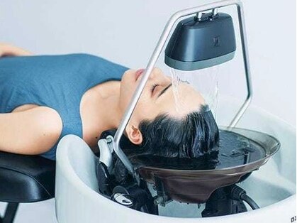 ウィルドレス(WiLL DRESS)の写真