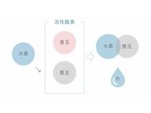 髪の内側から集中補修2