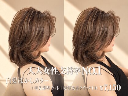ヴィオラカラー(VIOLLA COLOR)の写真