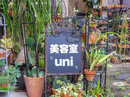 ウニ(uni)の写真