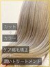 【特別フルコース】カット＋カラー＋ケア縮毛矯正＋潤いTr33500円→25000円