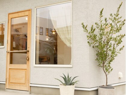 ハレア(halea)の写真