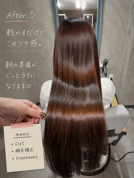 シエルバイアジュテ(Ciel by ajouter) ツヤ髪ロング