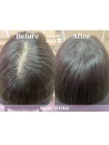 ヘアーワーク(HAIR WORK)&nbsp;増毛エクステ800本コース／極小結び目