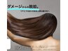 【名古屋初髪質改善】カット＋髪質改善カラー+トリートメント　栄/久屋