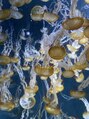 モイ(moy) お休みの日は水族館に行くことが多いです(^^)