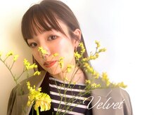 ベルベット(Velvet)