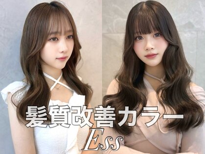 エス(Ess)の写真