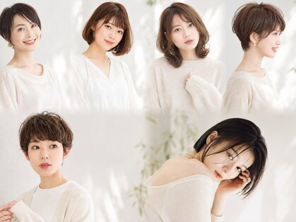 YOIn.【10月2日NEW OPEN(予定）】の写真