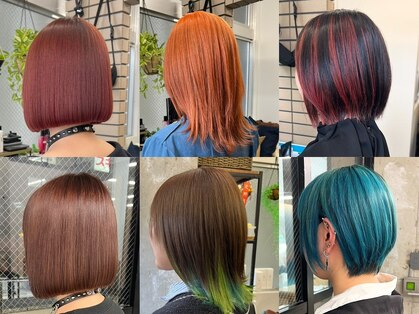 カシビ(kashibi)の写真