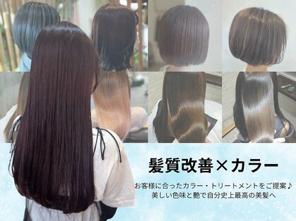 ミナモ(MINAMO)の写真
