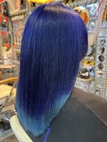 アドネス(ADNESS)&nbsp;ブルーヘア