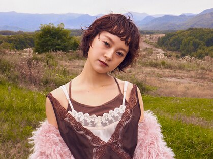 シカ(sica)の写真