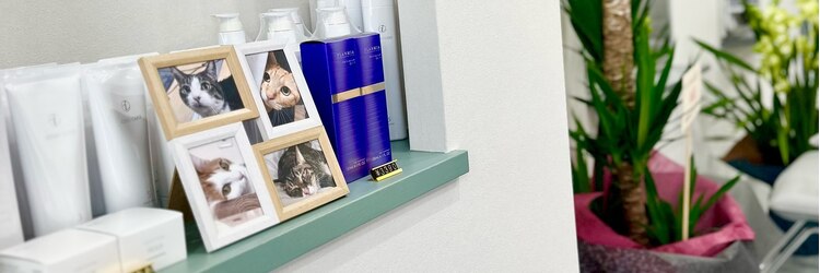 ニア(NiA)のサロンヘッダー