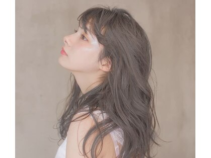 トワ(toi.)の写真