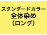 スタンダードカラー全体染め(ロング） 白髪染め/おしゃれ染め