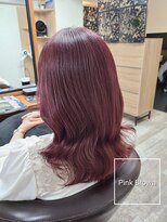 アンクラウド(an cloud)&nbsp;ピンクブラウン/ブリーチなしカラー