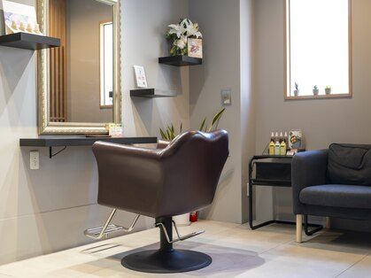 リプラス(Replus)の写真