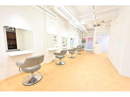 マイロ(mailo)の写真