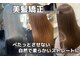 オリノ(olino)の写真