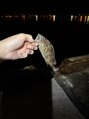 ハーフェン(HAfeN) 釣りが好きです!