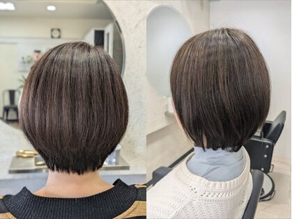 キュボス(Quvoth)の写真