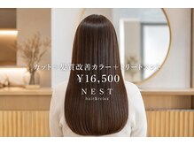 ネスト(NEST)