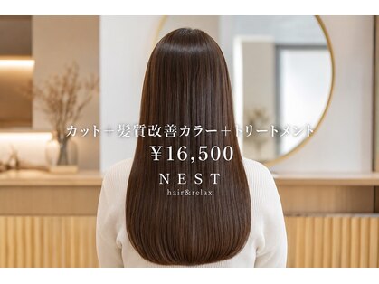 ネスト(NEST)の写真