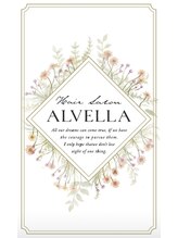 アルベラ(ALVELLA) 求人募集中