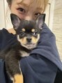 エン(ien.)&nbsp;愛犬を溺愛してます、、ポメラニアン×チワ柴mixのおとこのこ♪