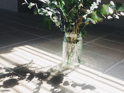 ミットバイツリー センター北(mit by tree)の写真