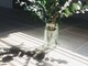ミットバイツリー センター北(mit by tree)の写真