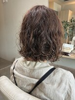 本と南風 guest design