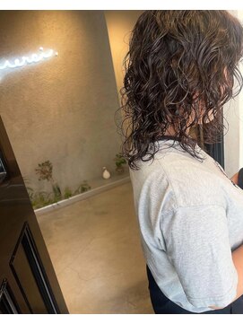 メルシー(merci.) ウルフパーマ